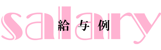 給料例